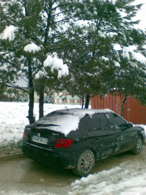 Neiges & printemps Neiges