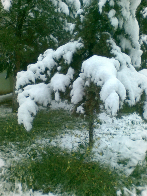 Printemps avec plein de neige Neiges
