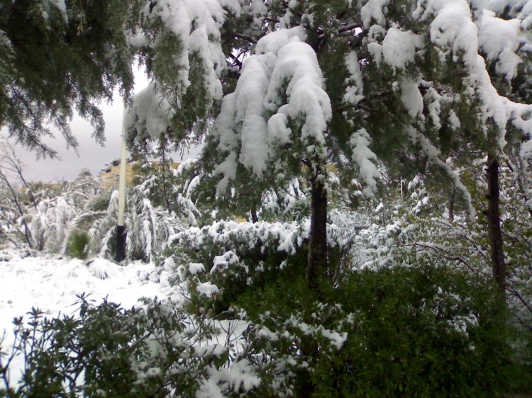 C'est la neige au printemps Neiges
