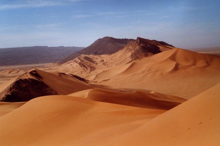 Désert algérien Dunes