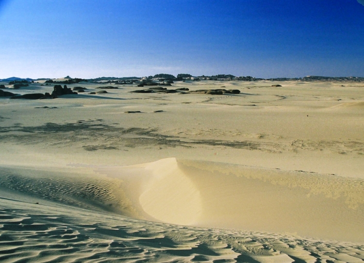 Le temps d'un rêve Dunes