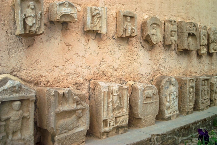 Timgad Vestiges / Ruines