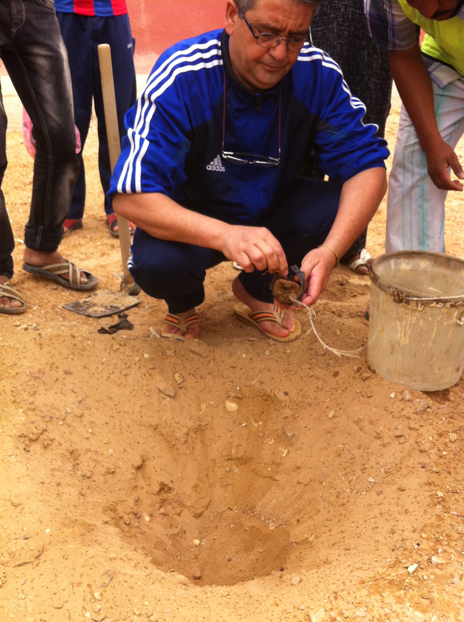 مدير الشباب والرياضة لولاية ادرار يشارك في حملة التشجير