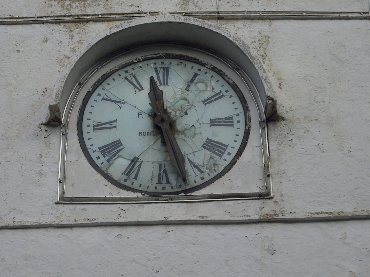 Gros plan Curiosités