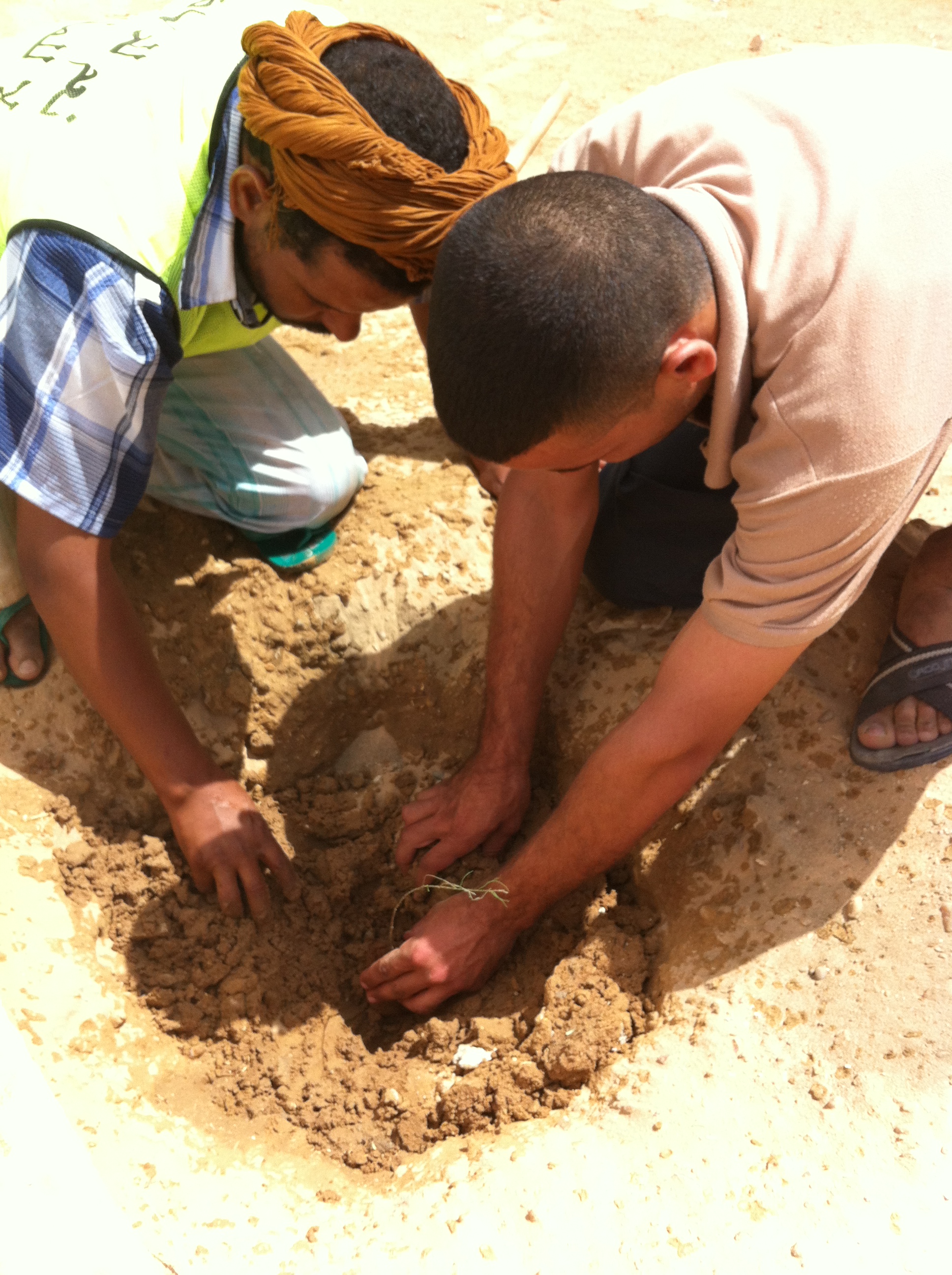 اساتذة ومعلمين شاركو في الحملة .ببرج باجي مختار