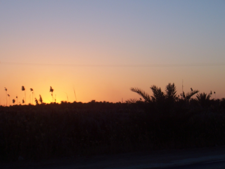 Coucher de soleil Palmiers