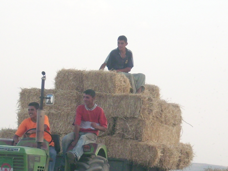 Mjez Ammar 10 km de Guelma Insolite