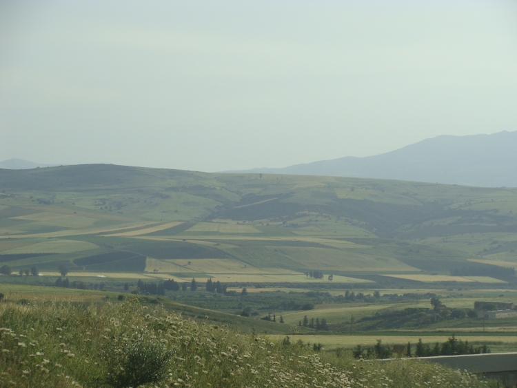 Paysage de Guelma Paysages