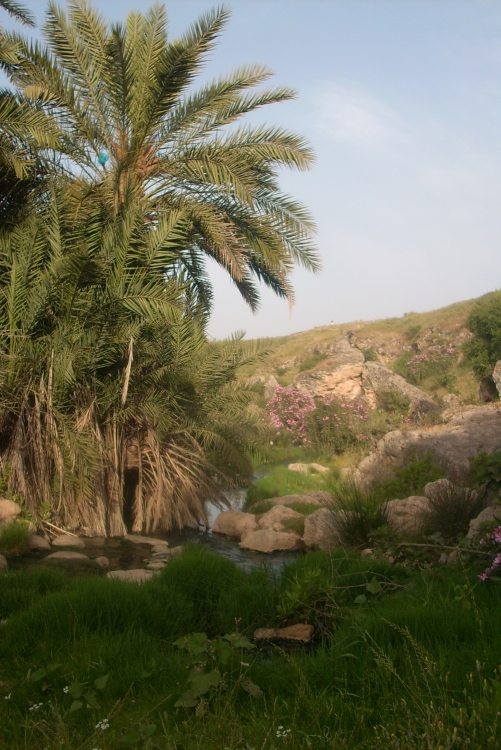 Hammam Debagh Paysages