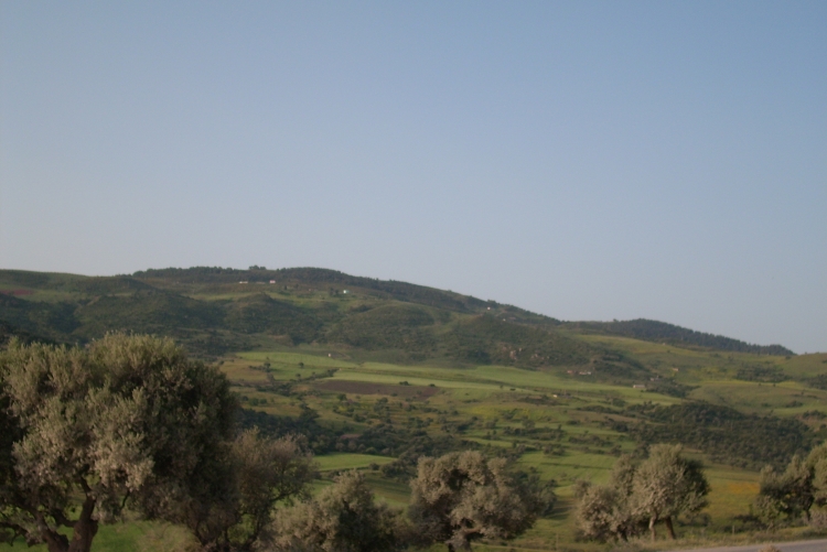 Bni Addi/Battou Paysages