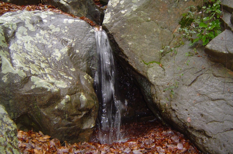 Une petite source de vie Paysages