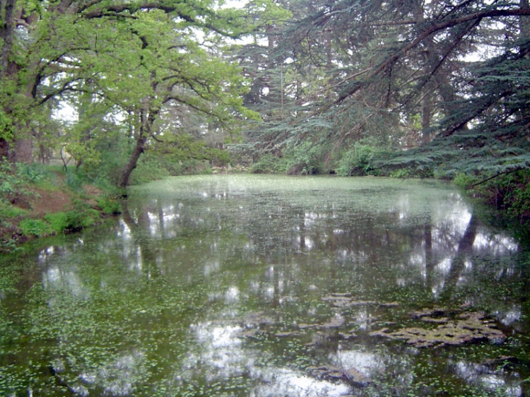 Un lac bien vivant Paysages