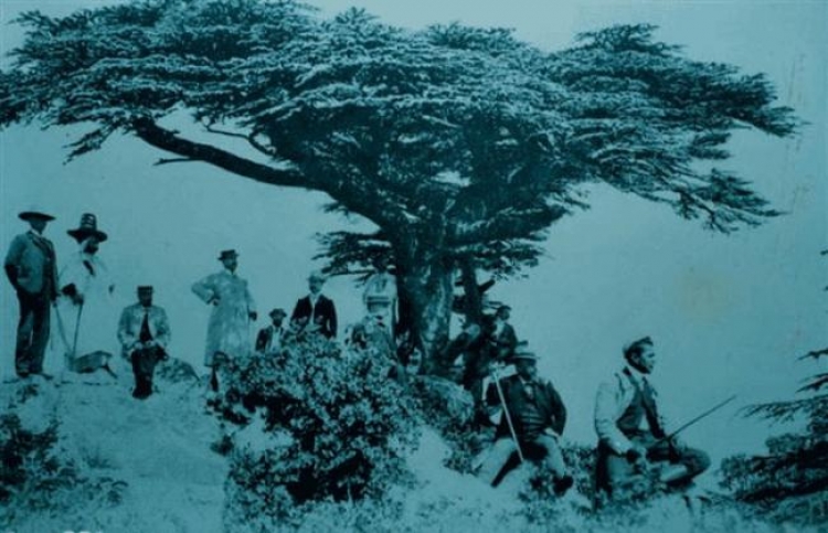 Le parasol Instants de vie