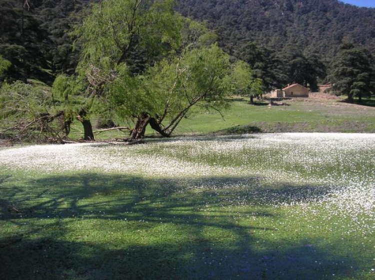 Le rond point Paysages