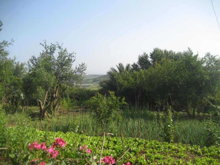 Mon jardin Maisons & jardins