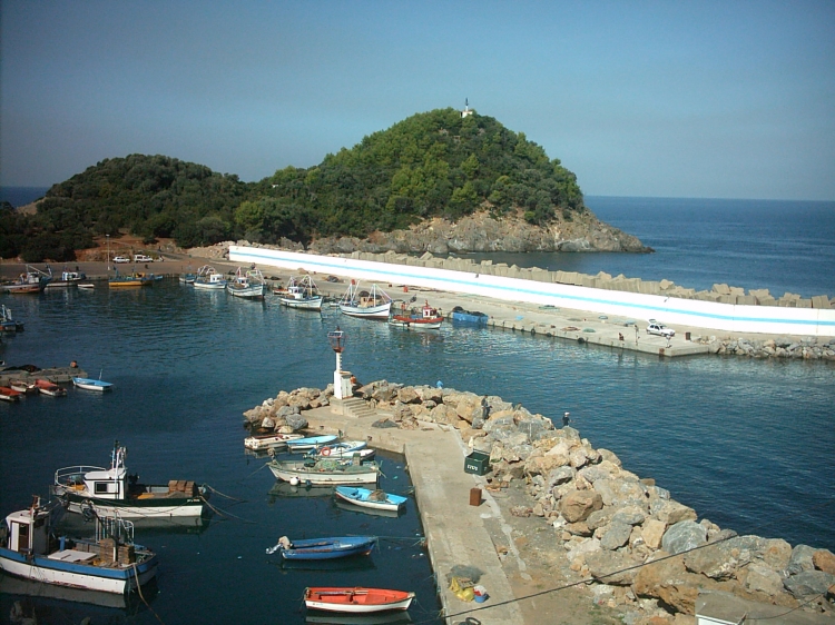 Ziama Ports
