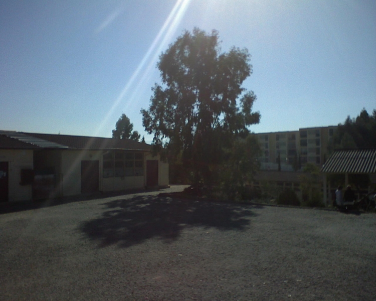 Lycée de Freha École