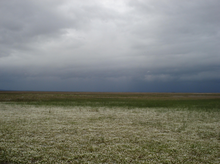 Lac el Kala Paysages