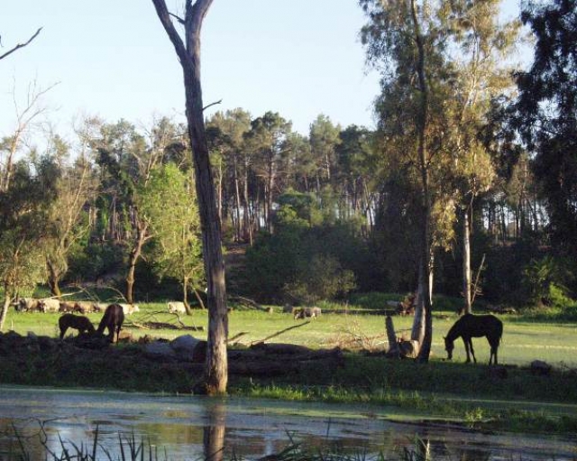 Lac tonga Paysages