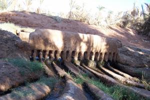 Le grand peigne de la palmeraie Paysages