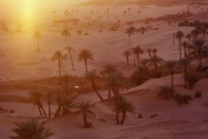 Oasis oasis ! Paysages