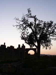 Civilisation vs nature Crépuscules / Aurore