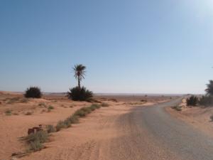 Rout rally bora Routes