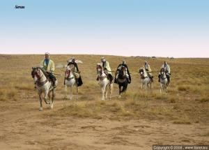 Cavaliers du Sersou Paysages