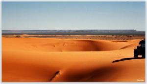 Pour contraster  avec  le  ciel  gris .... Déserts