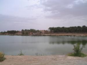 Lac de Témacine 1 Oasis