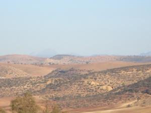 Les collines Paysages