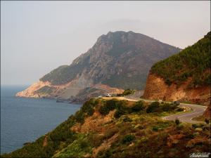 PAYSAGE ALGERIEN Tenes