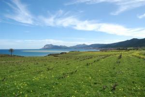 Cap Ténès Paysages