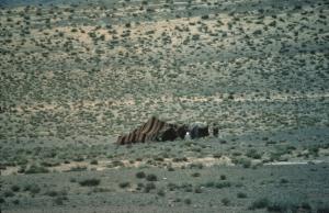 Tente de nomade Paysages