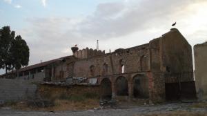 Les cigones veillent Blé