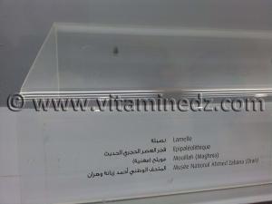 Lamelle épipaléolithique, Oued Mouillah, Maghnia (Musée Ahmed Zabana - Oran)