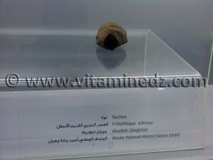 Nucleus paléolithique inférieur, Mouillah - Maghnia (Musée Ahmed Zabana - Oran)