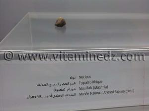 Nucleus Epipaléolithique , Mouillah - Maghnia (Musée Ahmed Zabana - Oran)