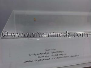 Lame épipaléolithique, Oued Mouilah, Maghnia (Musée Ahmed Zabana - Oran)