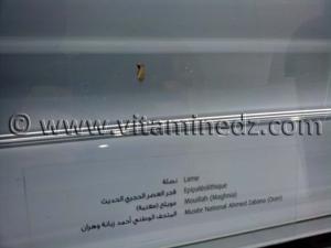 Lame épipaléolithique, Oued Mouilah, Maghnia (Musée Ahmed Zabana - Oran)