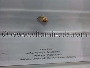 Racloir épipaléolithique, Oued Mouilah, Maghnia (Musée Ahmed Zabana - Oran)