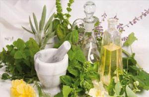 Blida - Reportage, Médecine par les plantes: La phytothérapie s’incruste dans les moeurs