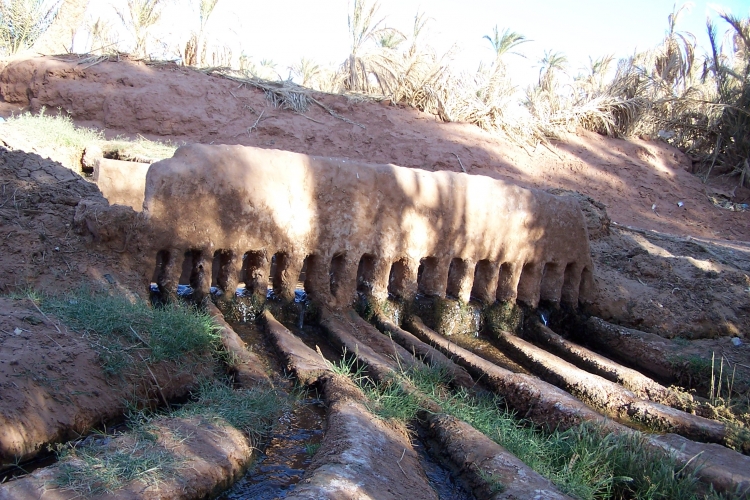 Le grand peigne de la palmeraie Paysages