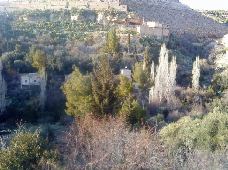 Taberdga chechar khenchela Paysages