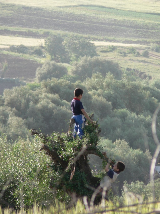 Sur le toit du monde Farniente