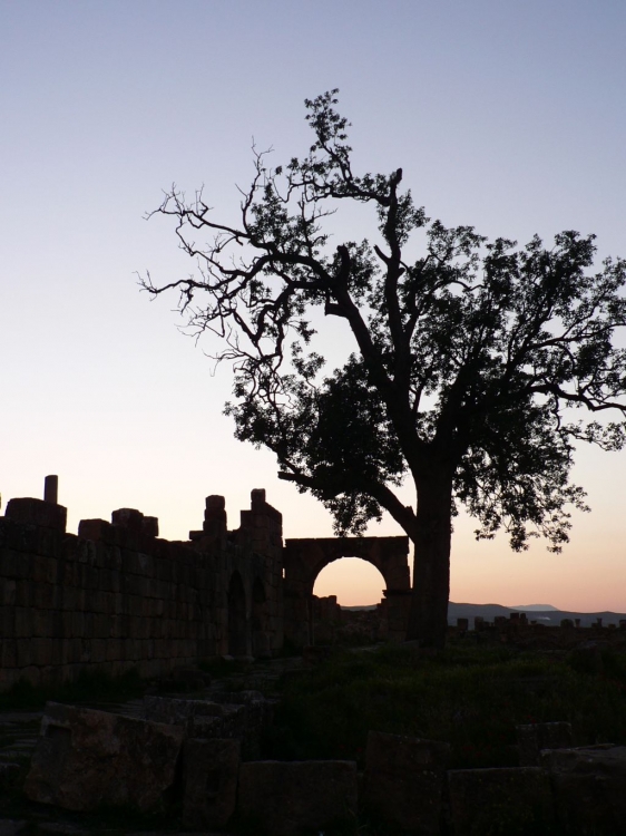 Civilisation vs nature Crépuscules / Aurore