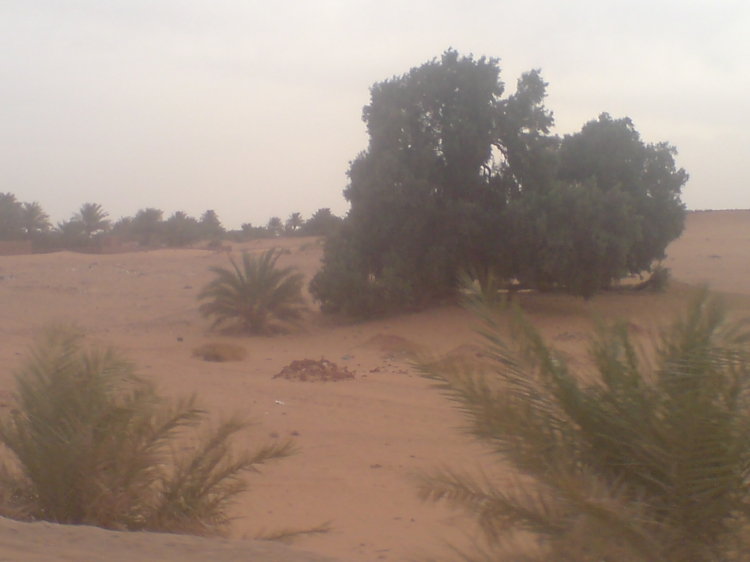 Desert Paysages