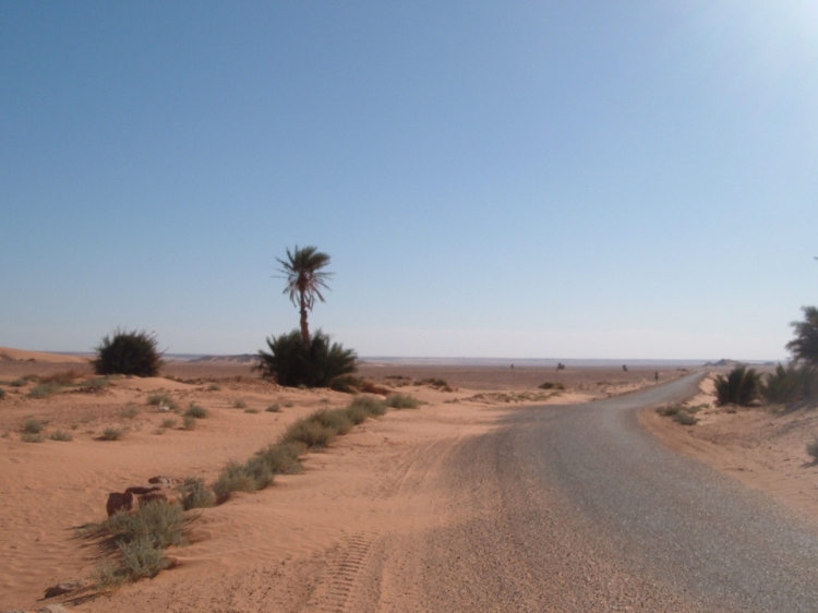 Rout rally bora Routes