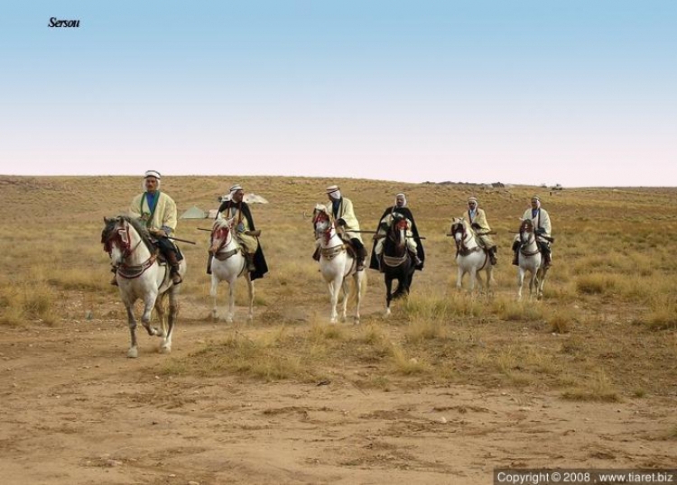 Cavaliers du Sersou Paysages