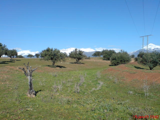 El Adjiba Paysages